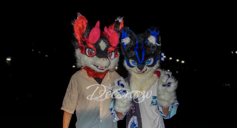 Featured image of post XDU furry shots for Zitang (紫棠) and Ink (墨水)
